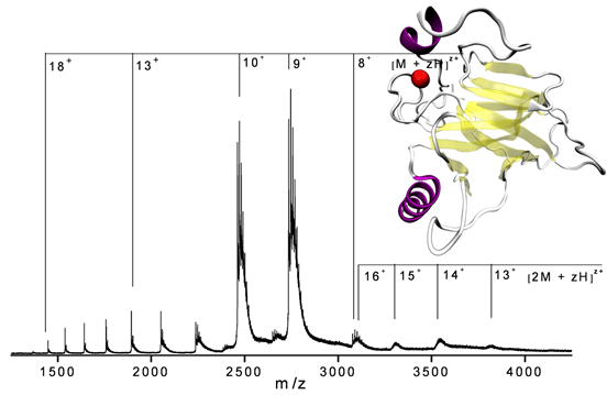 nESI spectrum of p53 core DNA binding domain obtained on the TW IM-MS from pH 6.8 solution (50 mM ammonium acetate, containing 10% by volume propan-2-ol).
