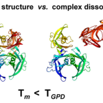 kam1_pap1_2